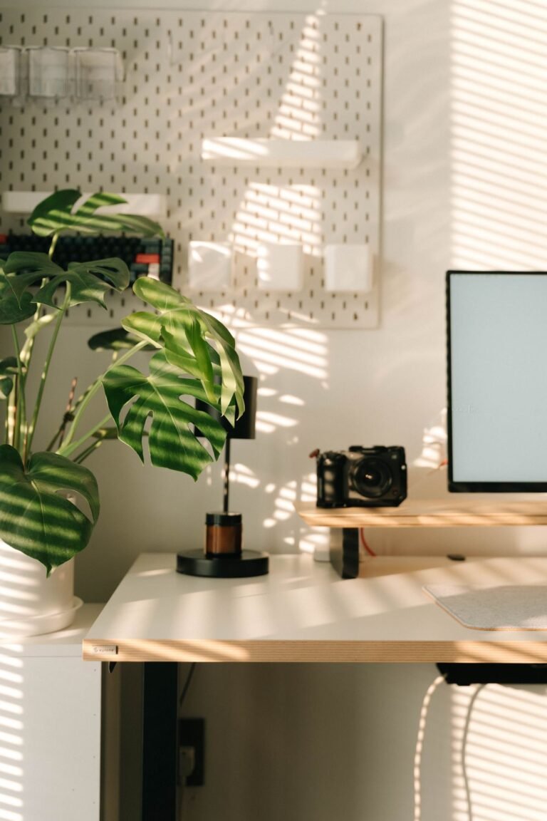 A monitor raised above a tidy small desk with a plant