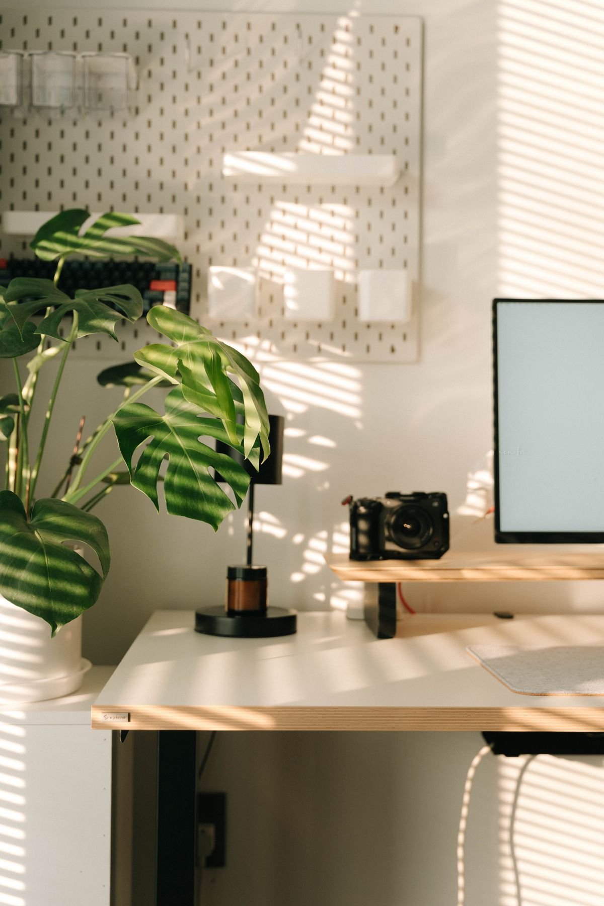 A monitor raised above a tidy small desk with a plant