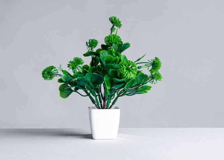 Best Low-Light Plants for Your Desk (2026)